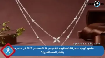 «تغير كبير» سعر الفضة اليوم الخميس 14 أغسطس 2025 في مصر ماذا ينتظر المستثمرين؟